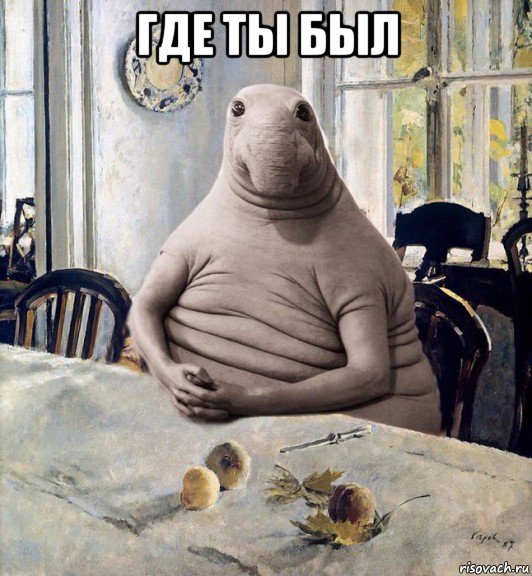 где ты был 