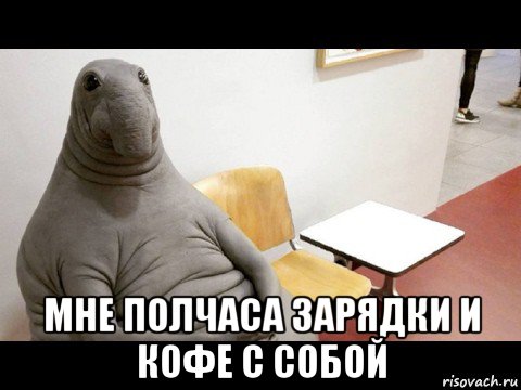  мне полчаса зарядки и кофе с собой