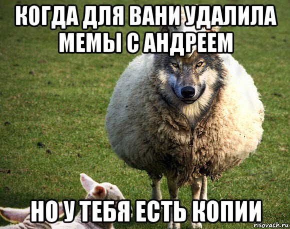 когда для вани удалила мемы с андреем но у тебя есть копии, Мем Злая Овца