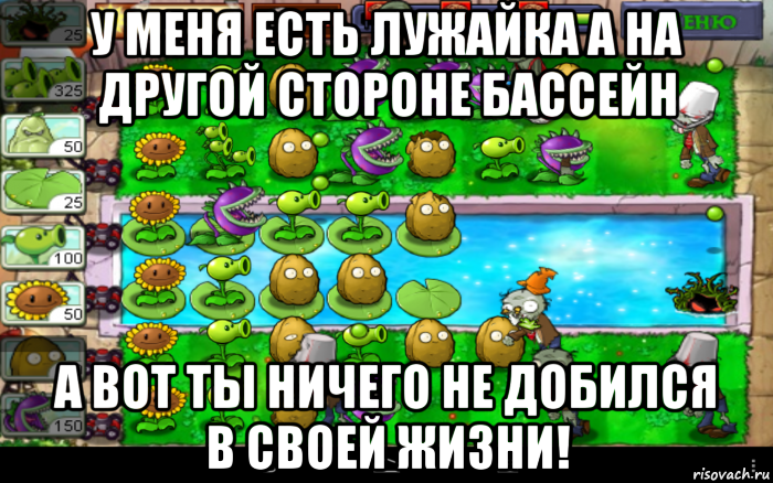 у меня есть лужайка а на другой стороне бассейн а вот ты ничего не добился в своей жизни!, Мем Зомби против растений