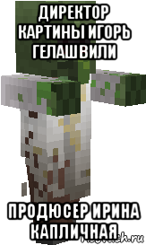 директор картины игорь гелашвили продюсер ирина капличная