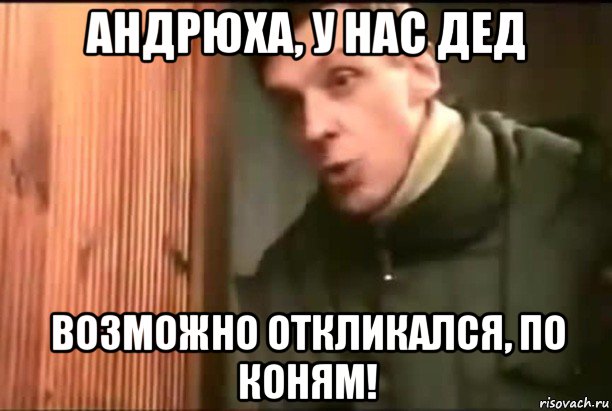 андрюха, у нас дед возможно откликался, по коням!