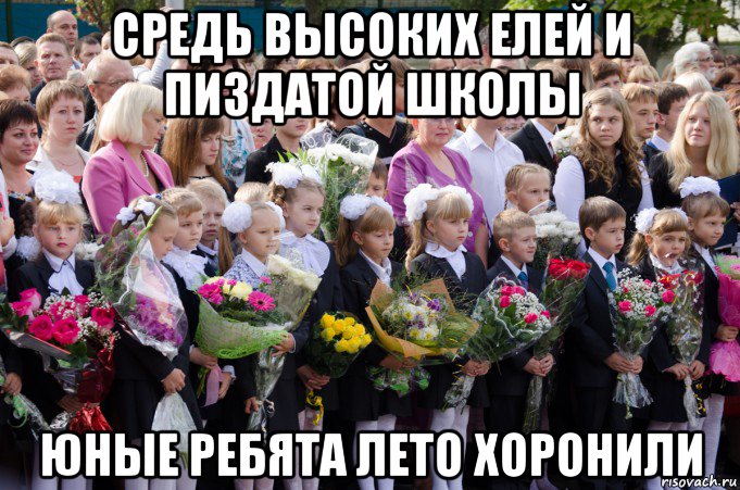 средь высоких елей и пиздатой школы юные ребята лето хоронили, Мем 1 сентября