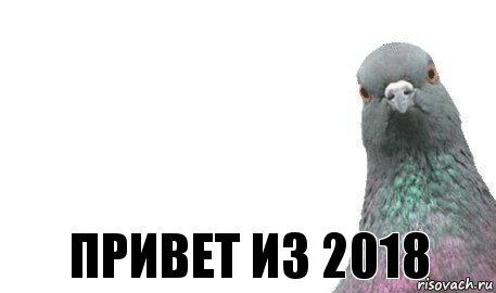  привет из 2018, Комикс Голубь 1