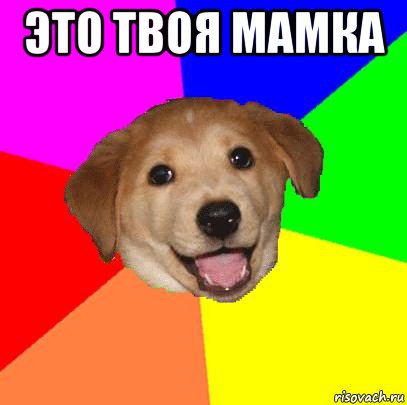 это твоя мамка 