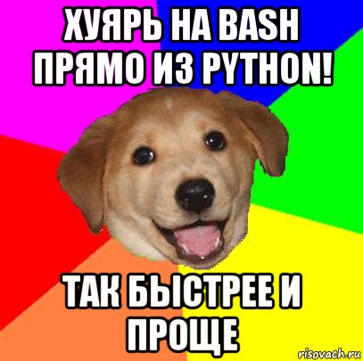 хуярь на bash прямо из python! так быстрее и проще