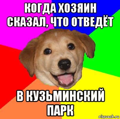 когда хозяин сказал, что отведёт в кузьминский парк, Мем Advice Dog