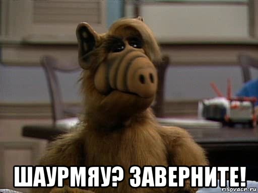  шаурмяу? заверните!
