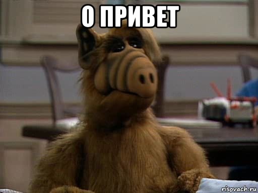 о привет , Мем Альф