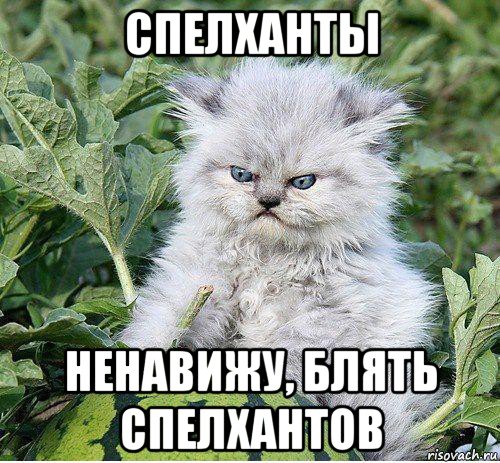 спелханты ненавижу, блять спелхантов