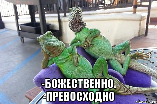  -божественно. -превосходно