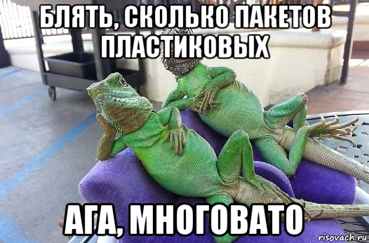 блять, сколько пакетов пластиковых ага, многовато