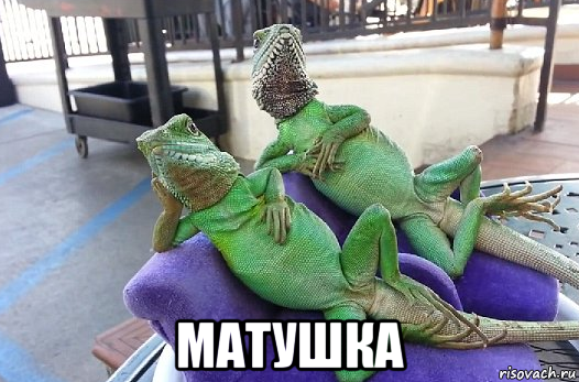  матушка