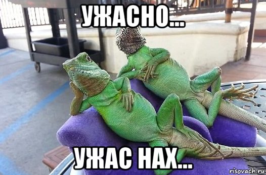 ужасно... ужас нах...