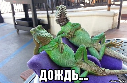  дождь....