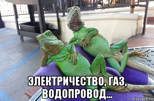  электричество, газ, водопровод...