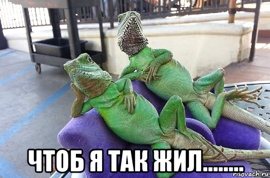  чтоб я так жил........