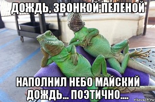 дождь, звонкой пеленой наполнил небо майский дождь... поэтично....