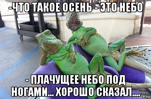 -что такое осень - это небо - плачущее небо под ногами... хорошо сказал....