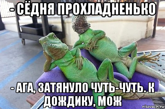 - сёдня прохладненько - ага, затянуло чуть-чуть. к дождику, мож
