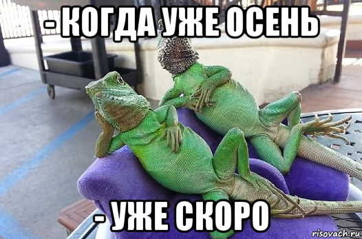 - когда уже осень - уже скоро