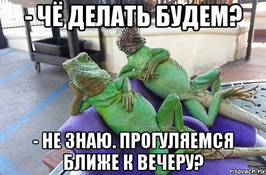 - чё делать будем? - не знаю. прогуляемся ближе к вечеру?