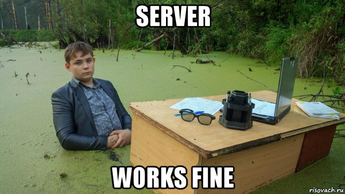 server works fine, Мем  Парень сидит в болоте