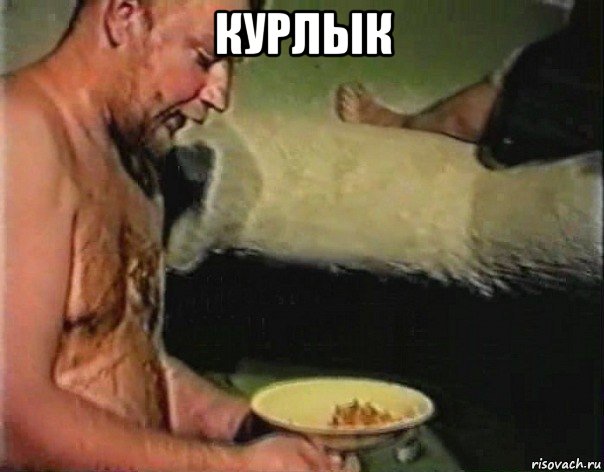 курлык 