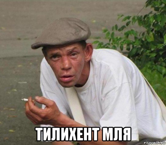  тилихент мля