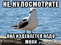 не, ну посмотрите она издевается надо мной