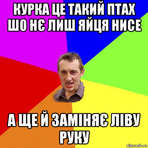 курка це такий птах шо нє лиш яйця нисе а ще й заміняє ліву руку, Мем Чоткий паца