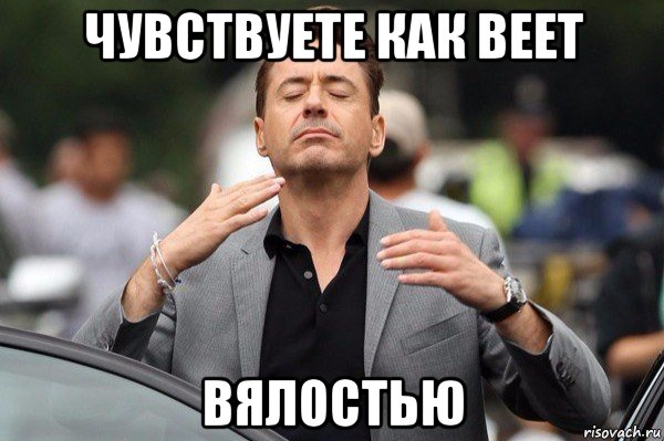 чувствуете как веет вялостью