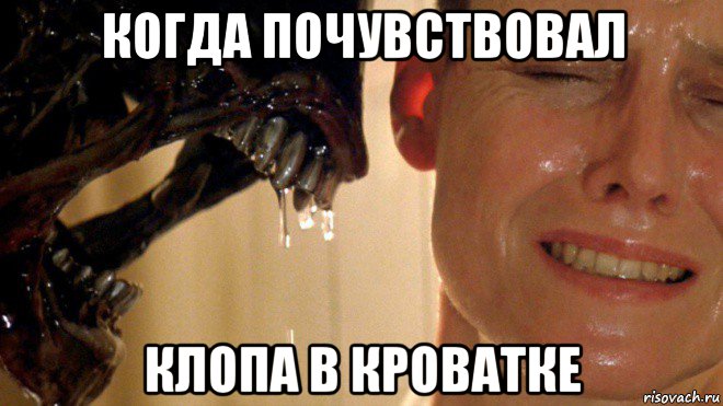 когда почувствовал клопа в кроватке