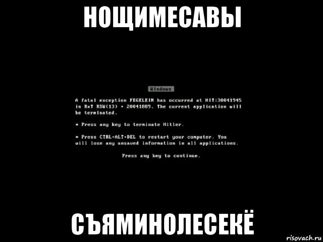 нощимесавы съяминолесекё, Мем Чёрный экран смерти