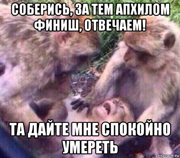 соберись, за тем апхилом финиш, отвечаем! та дайте мне спокойно умереть