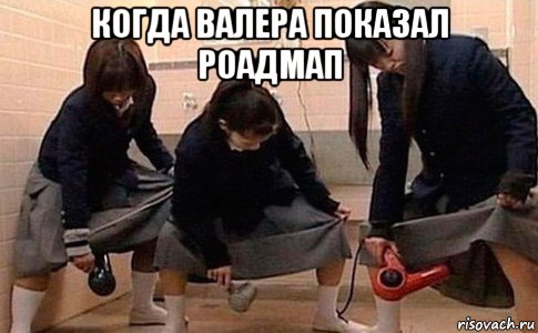 когда валера показал роадмап , Мем Девушки с феном