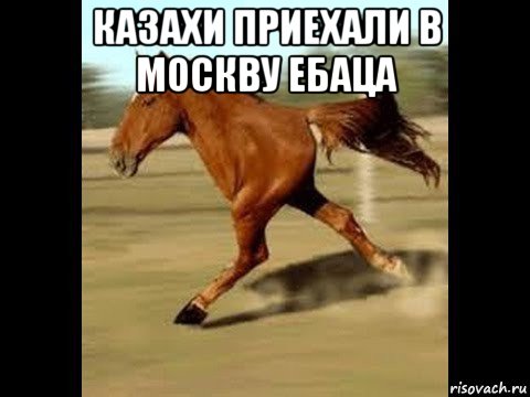казахи приехали в москву ебаца 