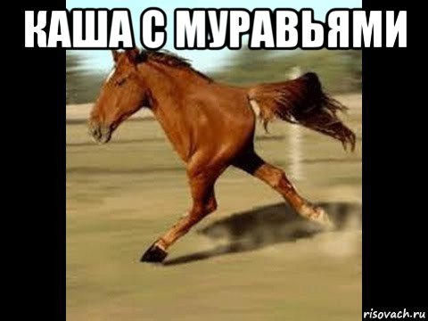каша с муравьями 