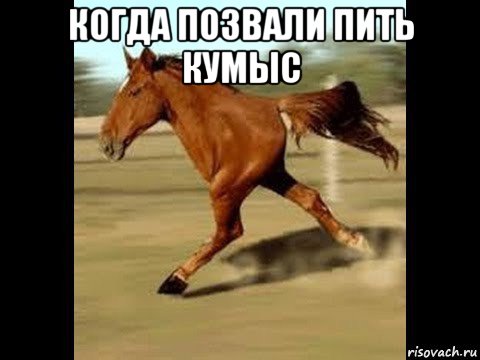 когда позвали пить кумыс 