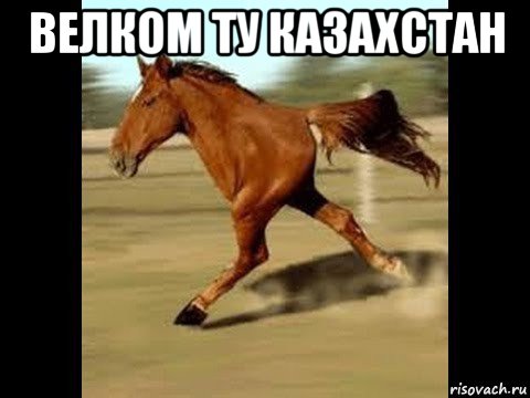 велком ту казахстан 