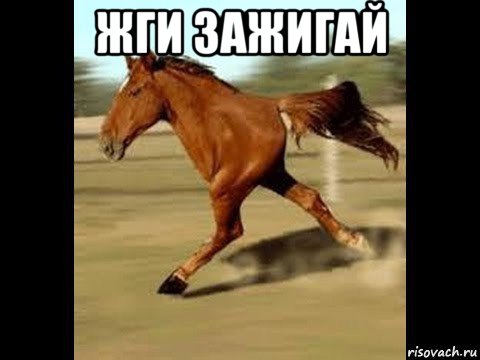 жги зажигай 