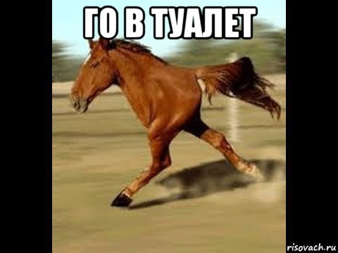 го в туалет 
