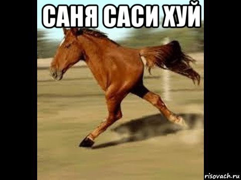 саня саси хуй 