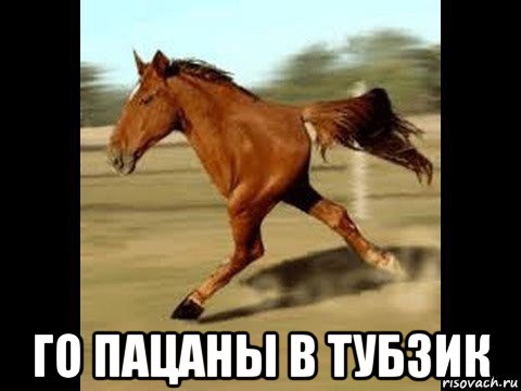  го пацаны в тубзик