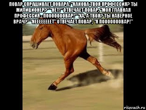 повар спрашивает повара: "какова твоя профессия? ты милиционер?" "нет!" отвечает повар, "моя главная профессия - пооооооовар!" "ха, а твоя? ты наверное врач?" "неееееееет" отвечает повар, "я пооооооовар!" 