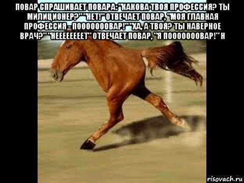 повар спрашивает повара: "какова твоя профессия? ты милиционер?" "нет!" отвечает повар, "моя главная профессия - пооооооовар!" "ха, а твоя? ты наверное врач?" "неееееееет" отвечает повар, "я пооооооовар!" н , Мем Двуногий конь