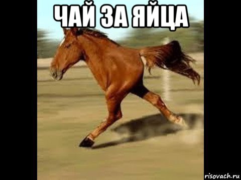 чай за яйца 