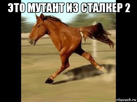 это мутант из сталкер 2 