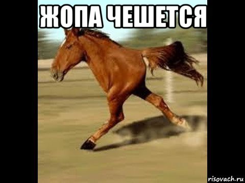 жопа чешется , Мем Двуногий конь