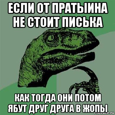 если от пратыина не стоит писька как тогда они потом ябут друг друга в жопы, Мем Филосораптор